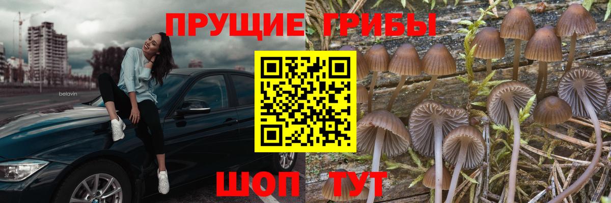 Псилоцибиновые грибы мухоморы  Вход с VPN  Псилоцибиновые грибы Magic Shrooms  цены наркотик  Азнакаево 